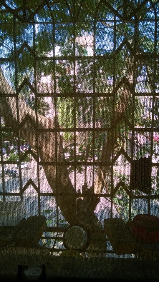 1509233_10152205925620152_1071485778_n